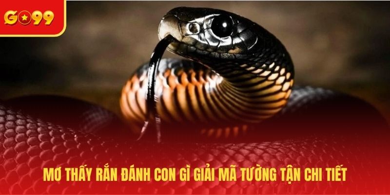 Mơ thấy rắn đánh con gì giải mã tường tận chi tiết